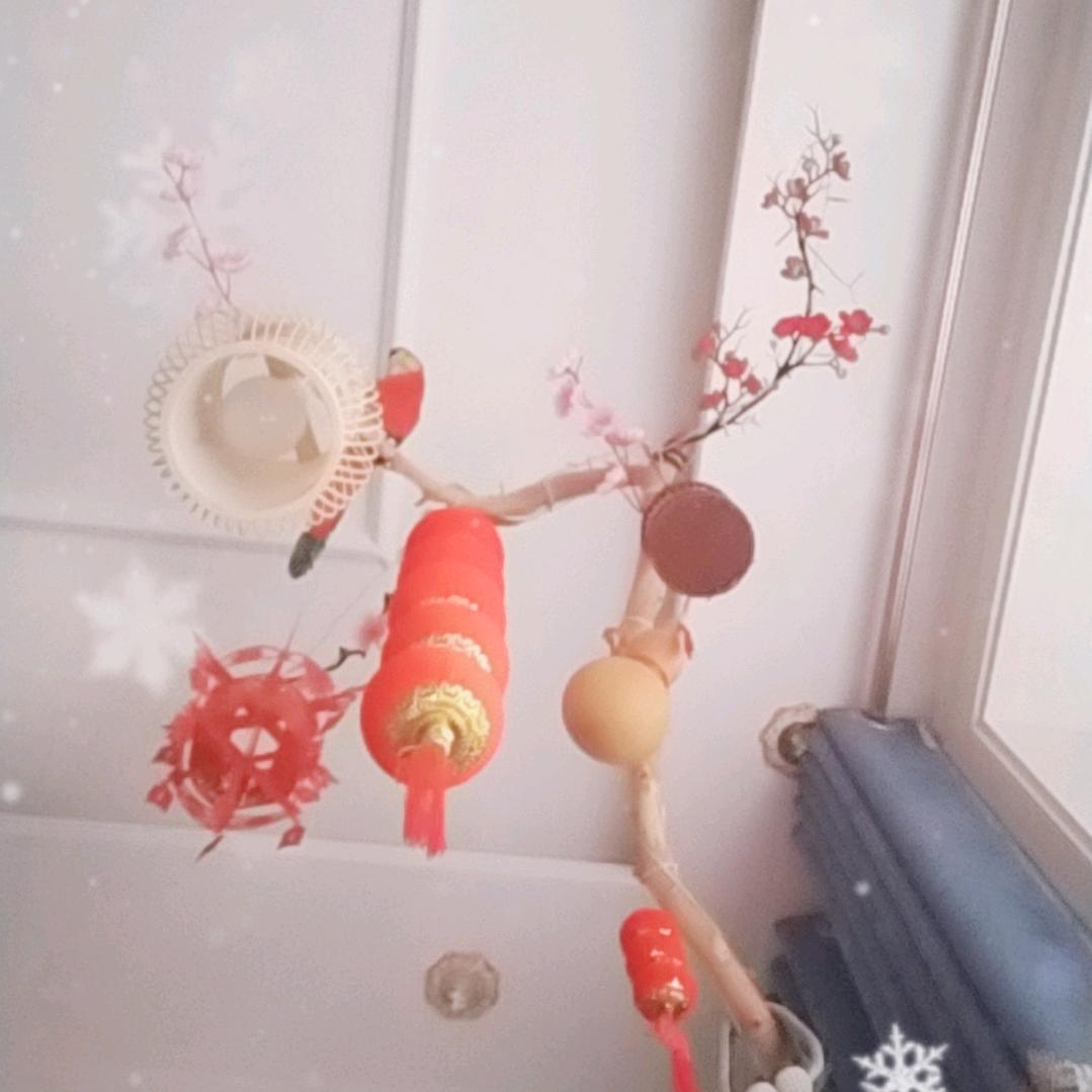 傲雪