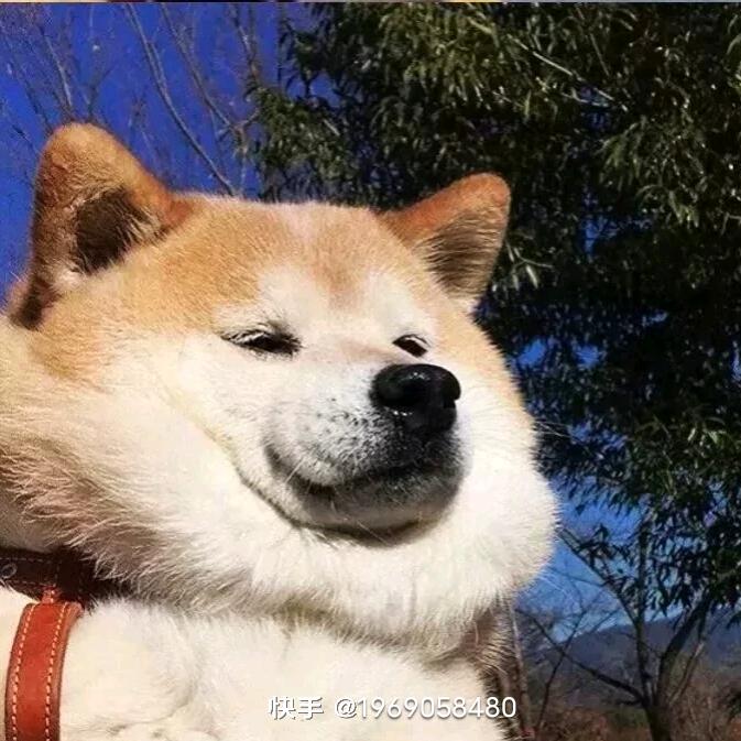 望京