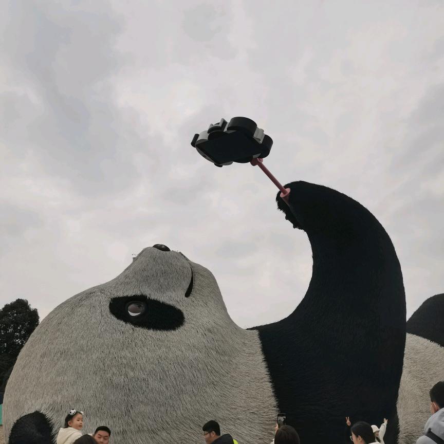 ☘️随心所欲