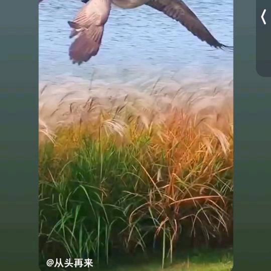 三十二号上班