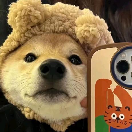 满山猴子我腚最红