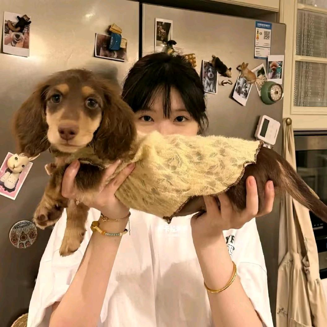 你很蠢你知道吗