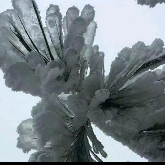 水果批发零售《同城送货上门》