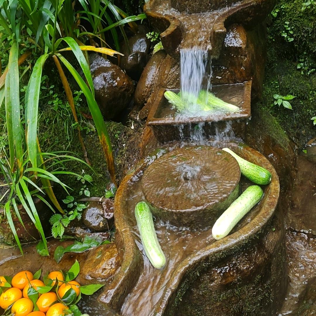 不忘初心（张姐）