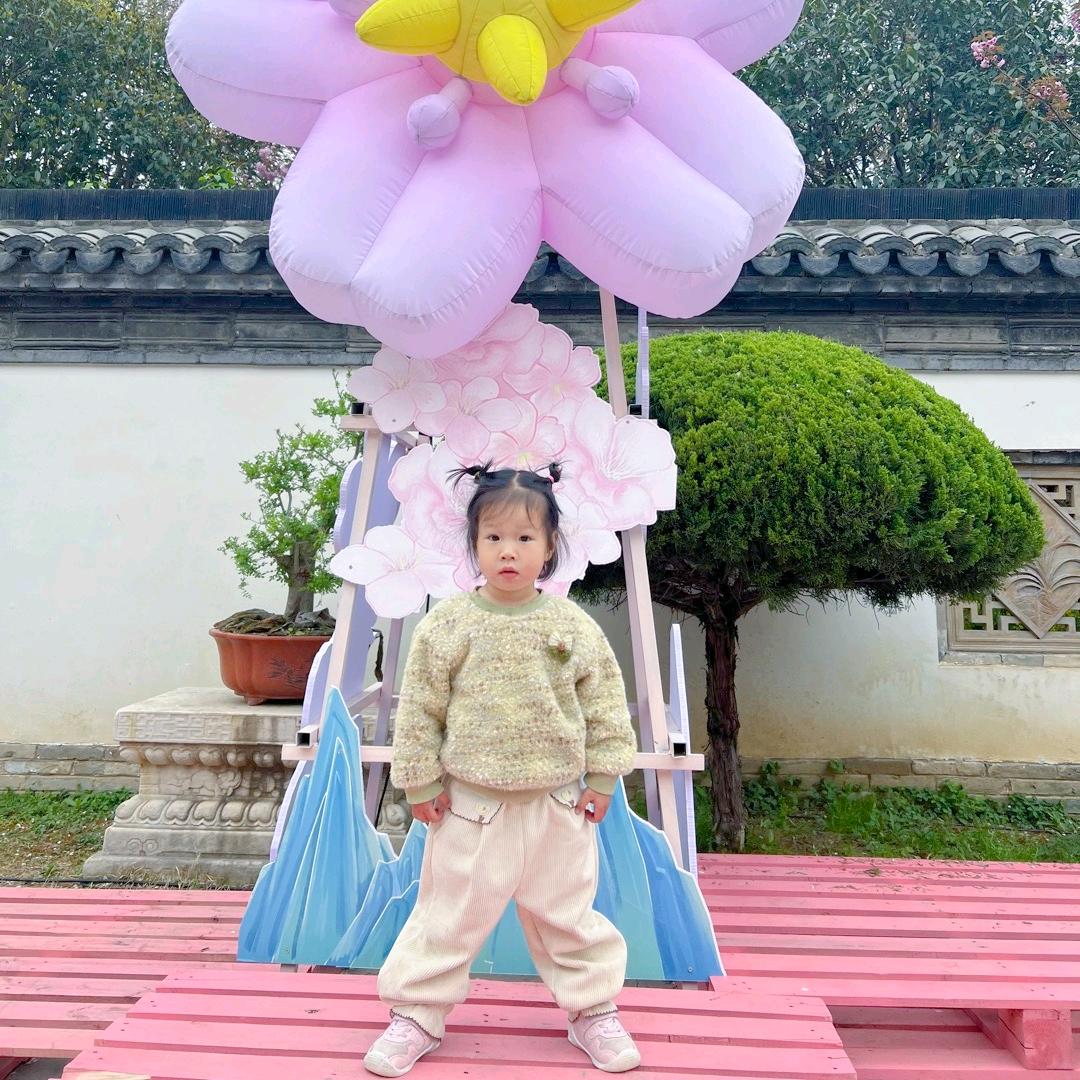 桐桐木