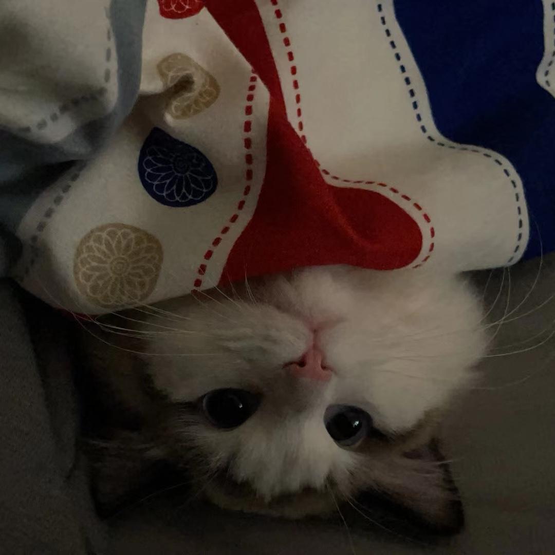 王大宝又和你不熟