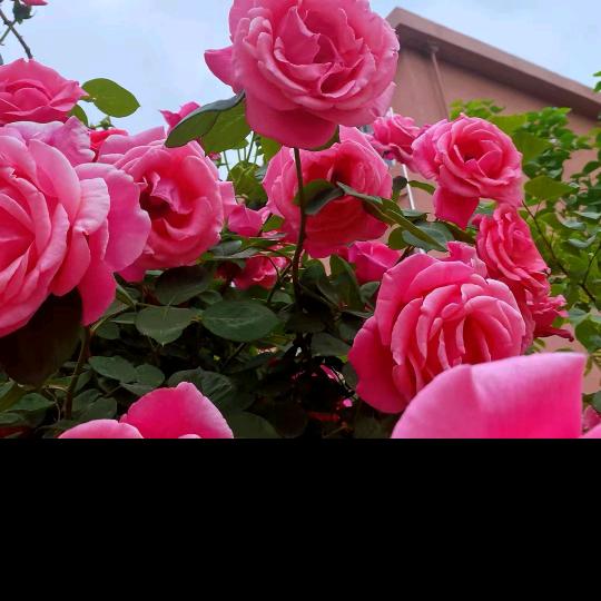 自己好好的爱自己