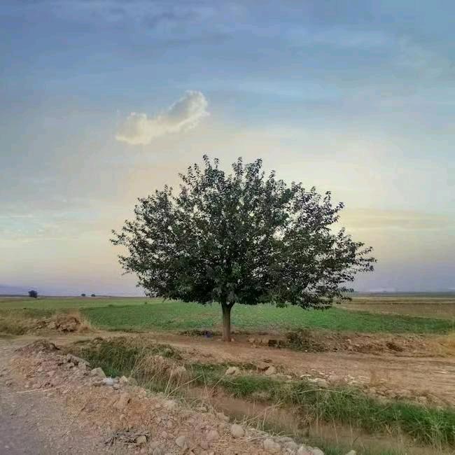 幸福快乐(爱聊天)