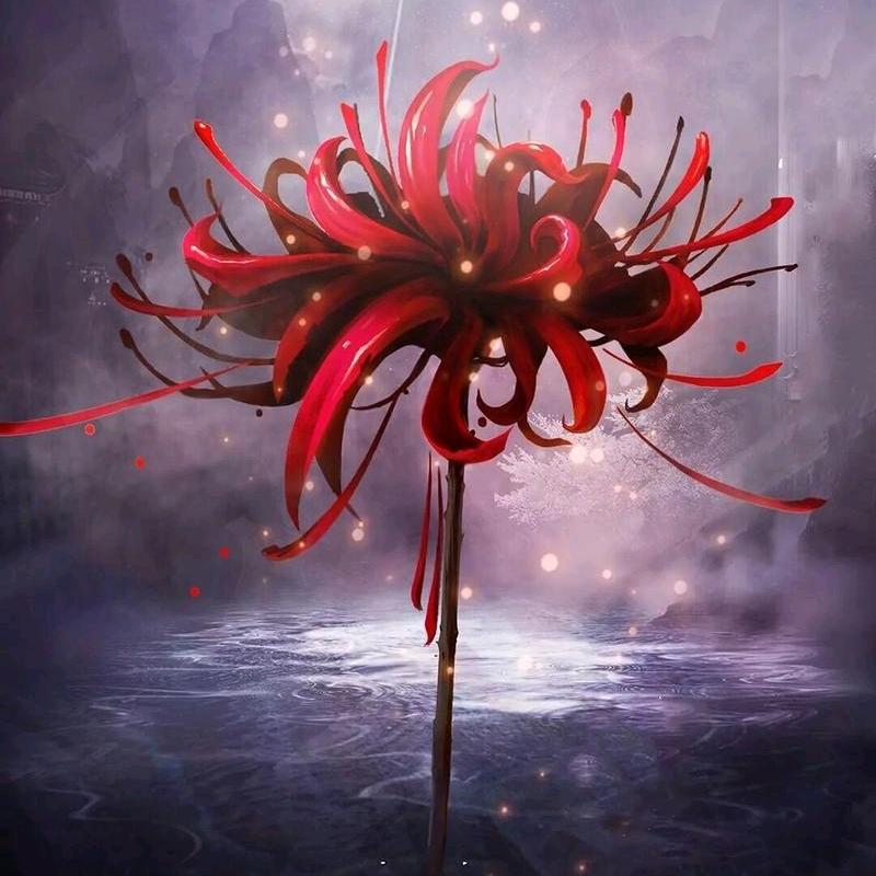 ꧁꫞꯭曼珠💞沙华꧔ꦿ꧂