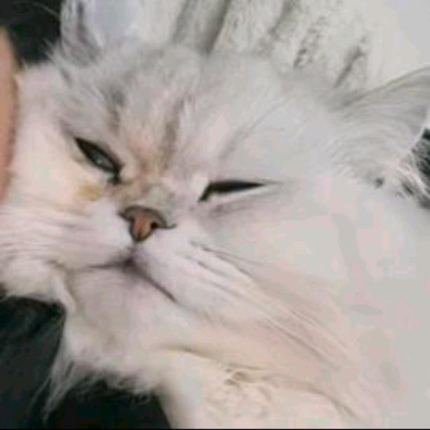 号太小别搭理我啊