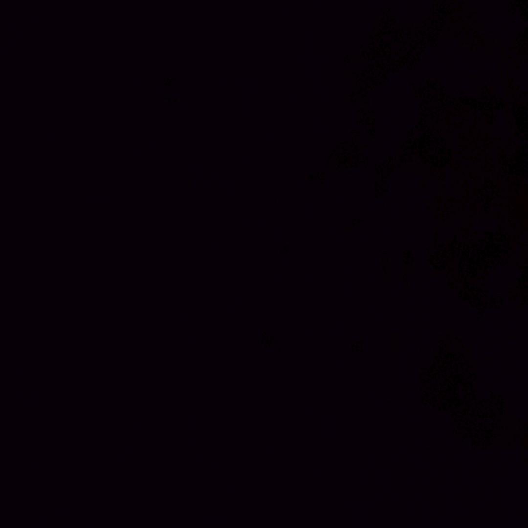风筝123