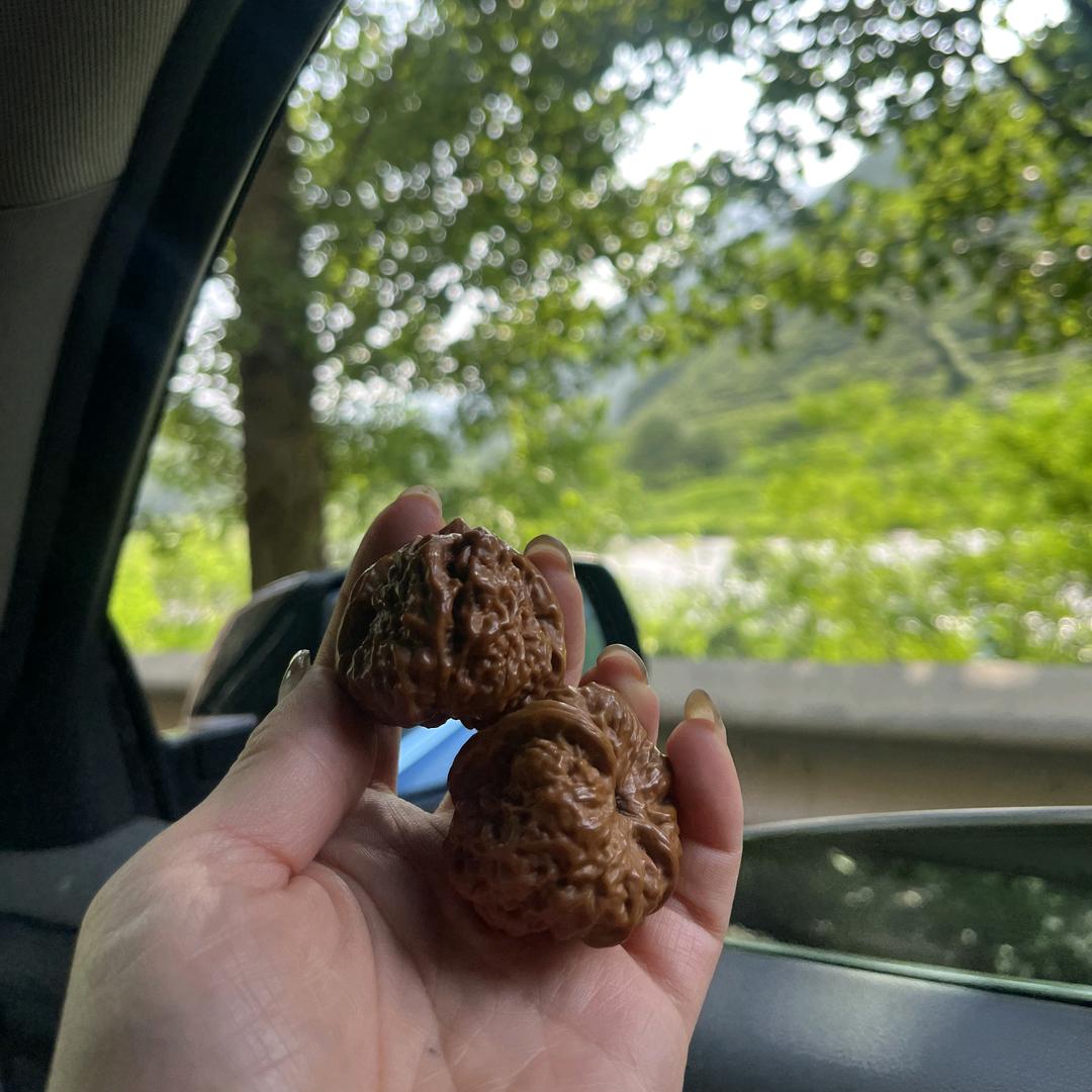 核気局精选