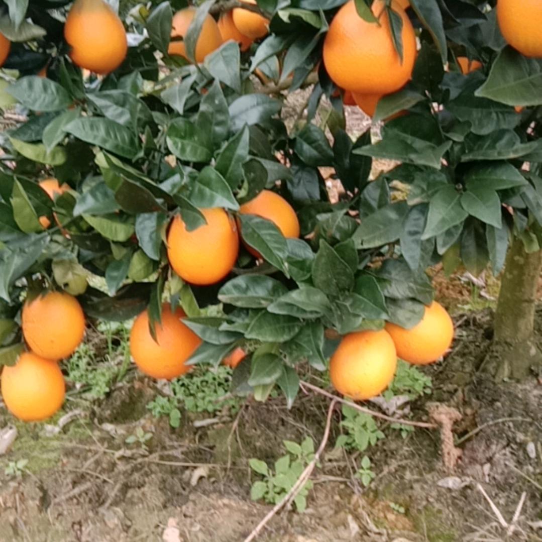 幸福平安