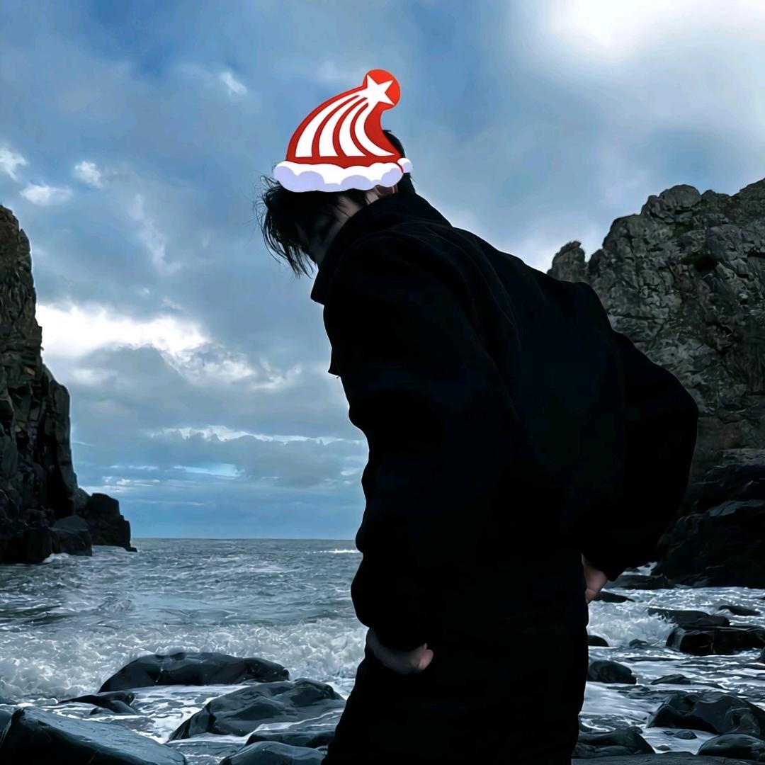 霜叶飘零