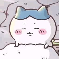 呆橘木木