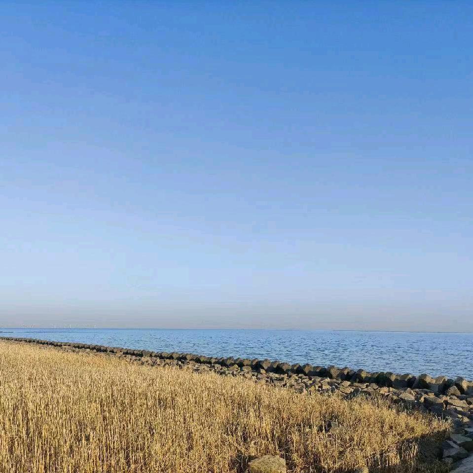 薄云清月，落花流水