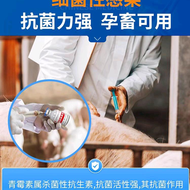 刘老师搞养殖分享