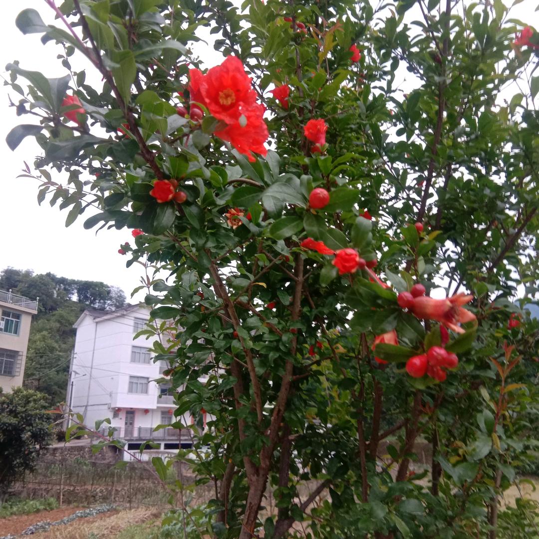 阳ˉ﹃ˉ～光女孩