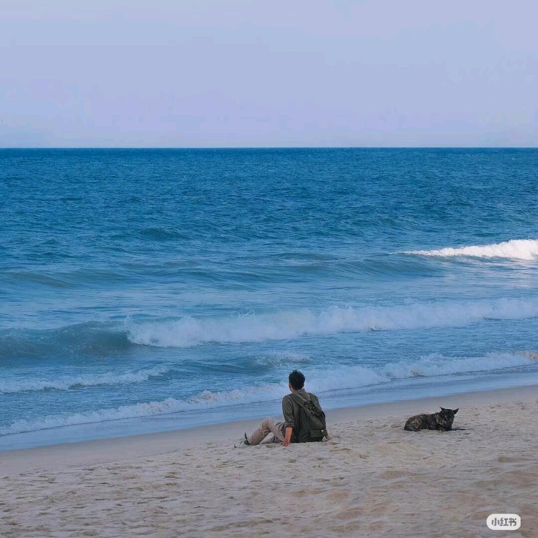 zxdidjdndujdjdjjjdkd