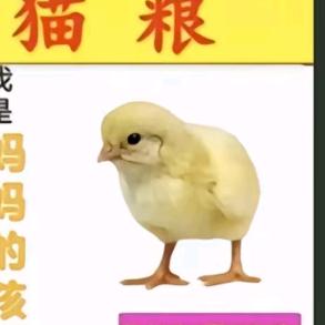 行侠正义贝利亚