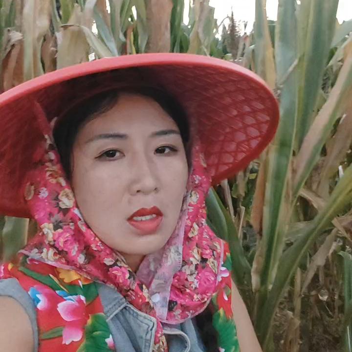 铁娘子王姐