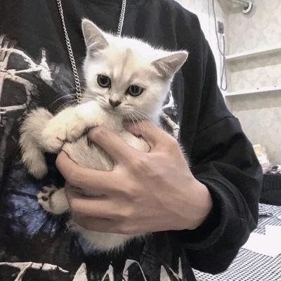 我且与酒拜桃花
