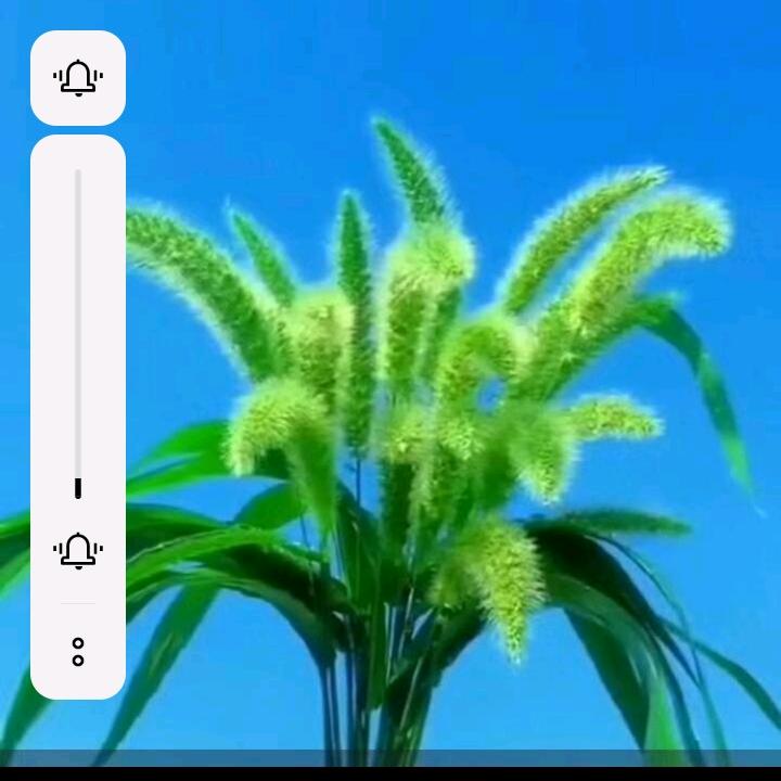 真诚