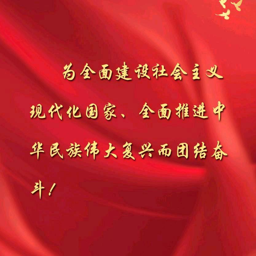 李娃儿头像