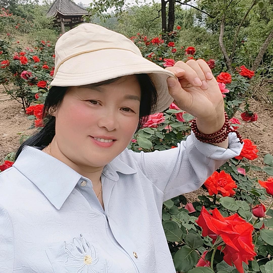 陈兴云