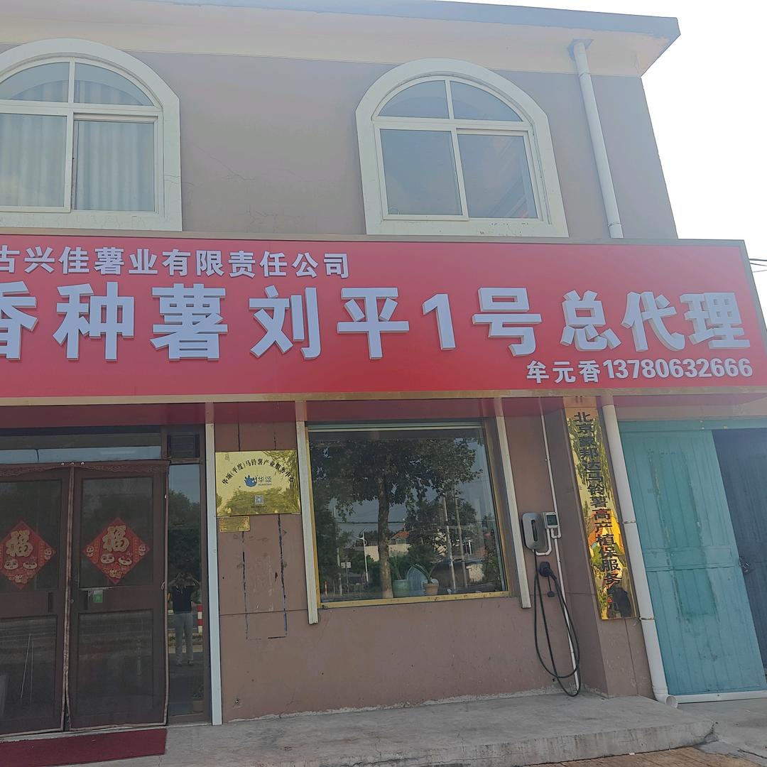 牟元香土豆种