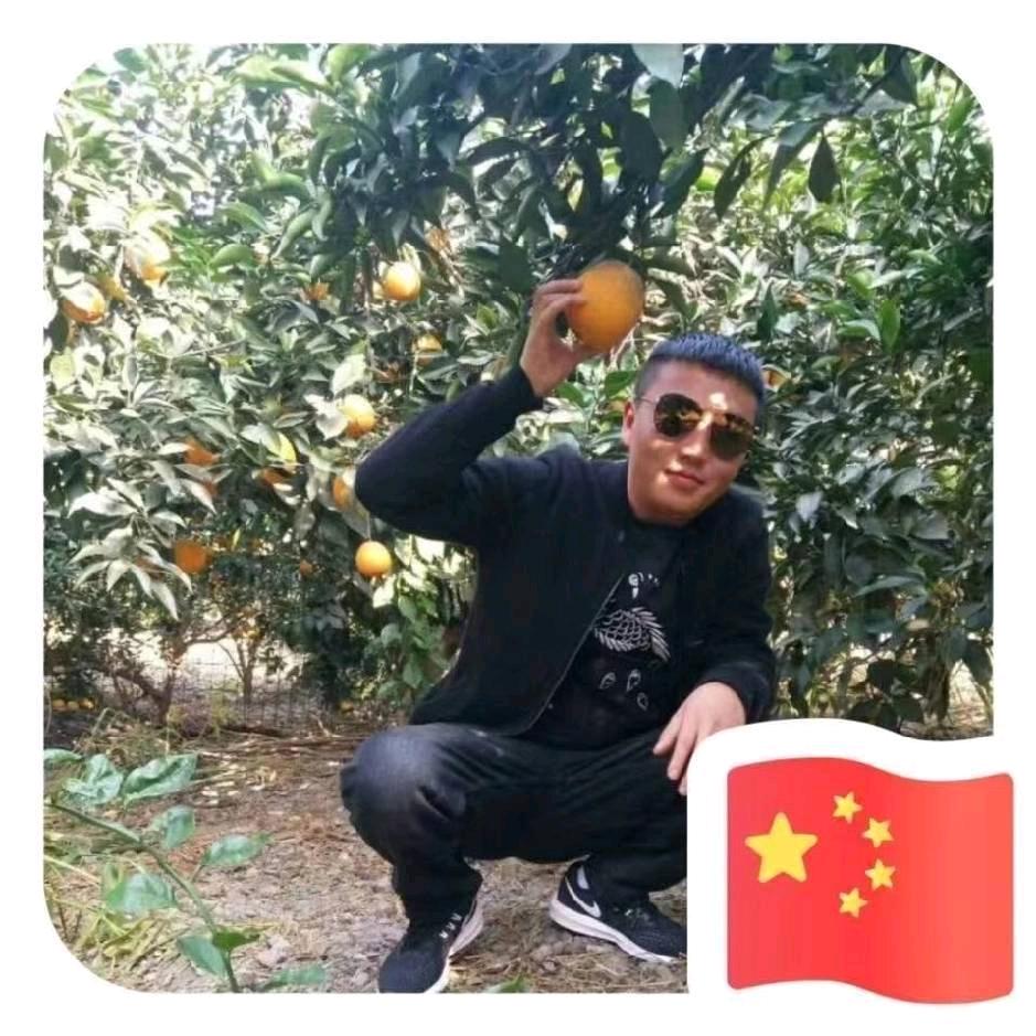 无尤无虑