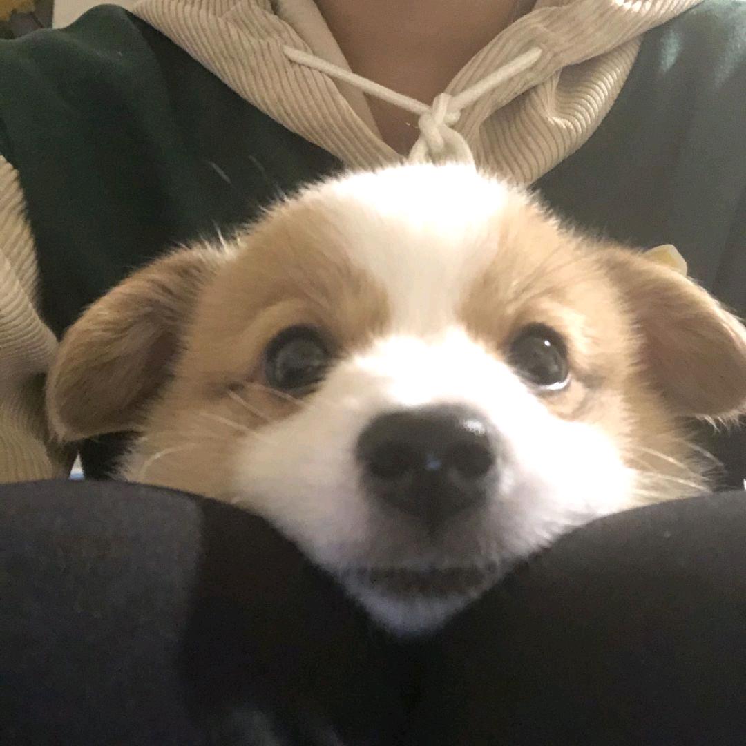 记得说晚安