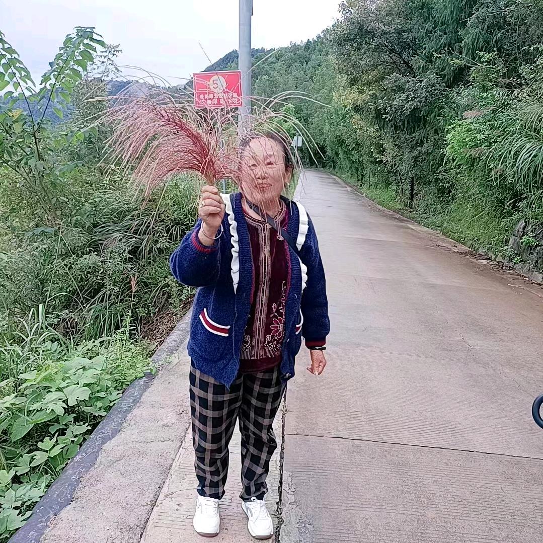 山清水秀