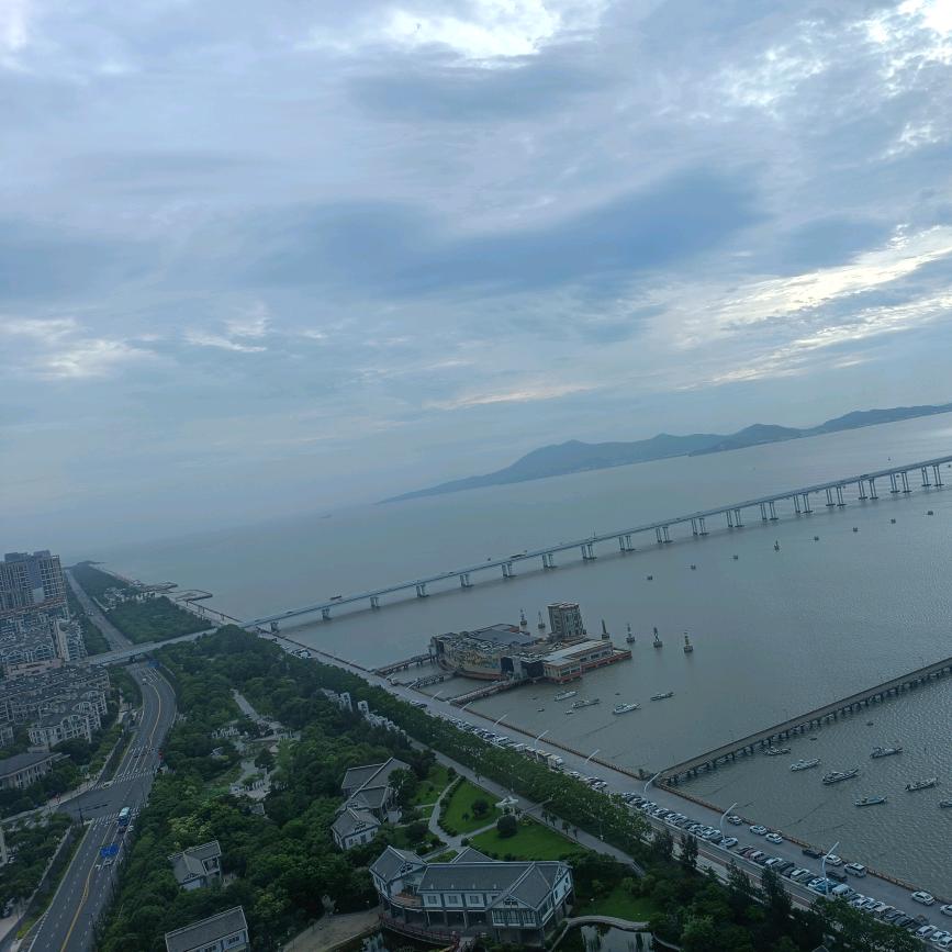 树欲静而风不止