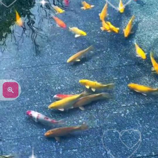 x幸福一家人