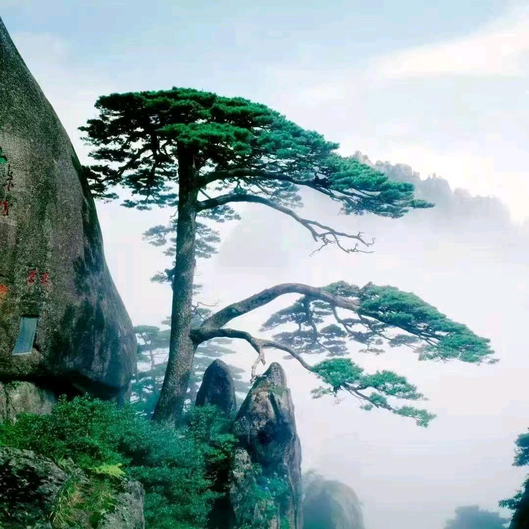 心想事成
