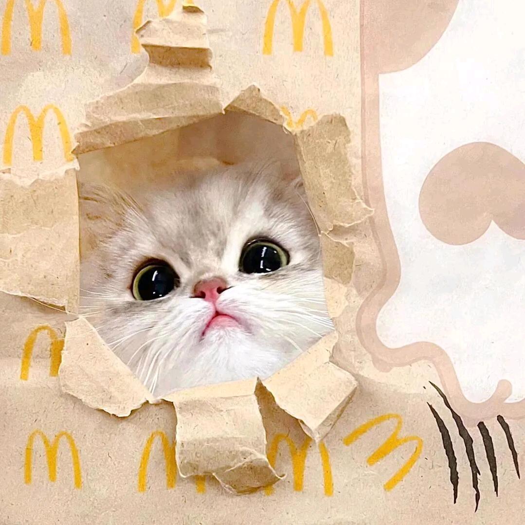 小小Yao（心想事成版）