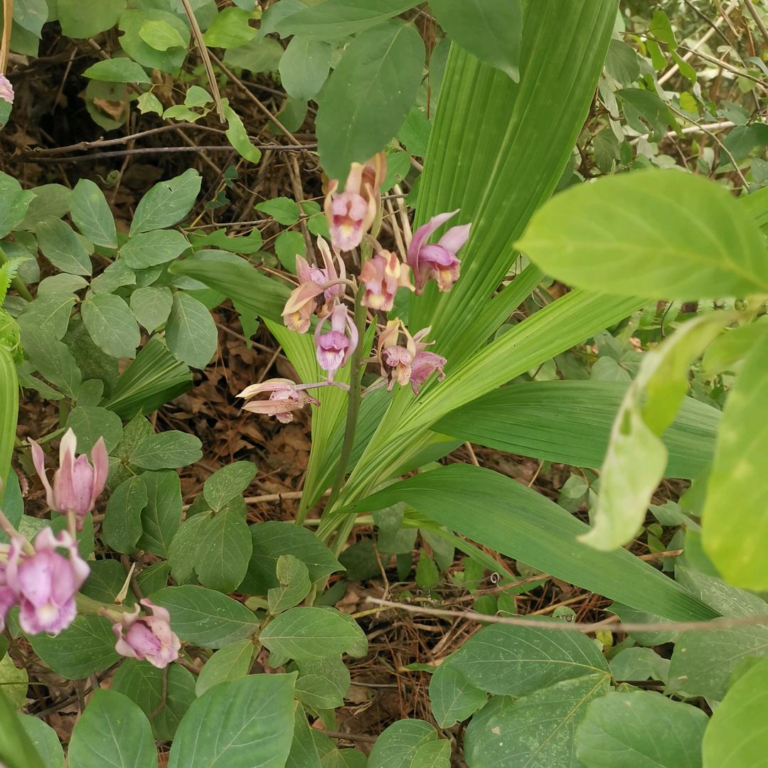 零开始 从无人机