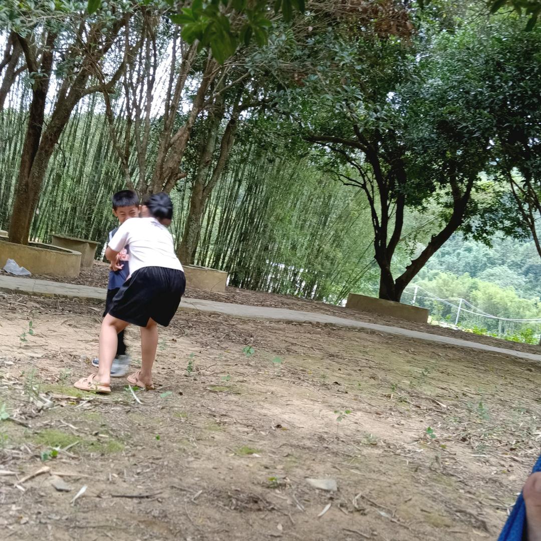 风雨人生