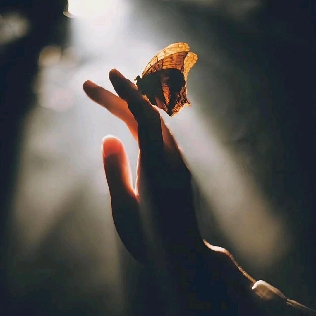 ✧˖浅笑不语 ◡̈°