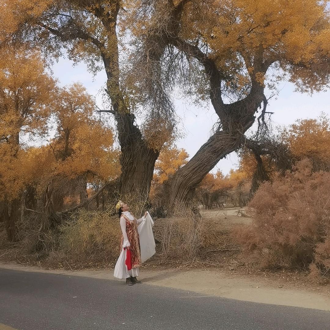 维吾尔族舞零基础培训朝颜