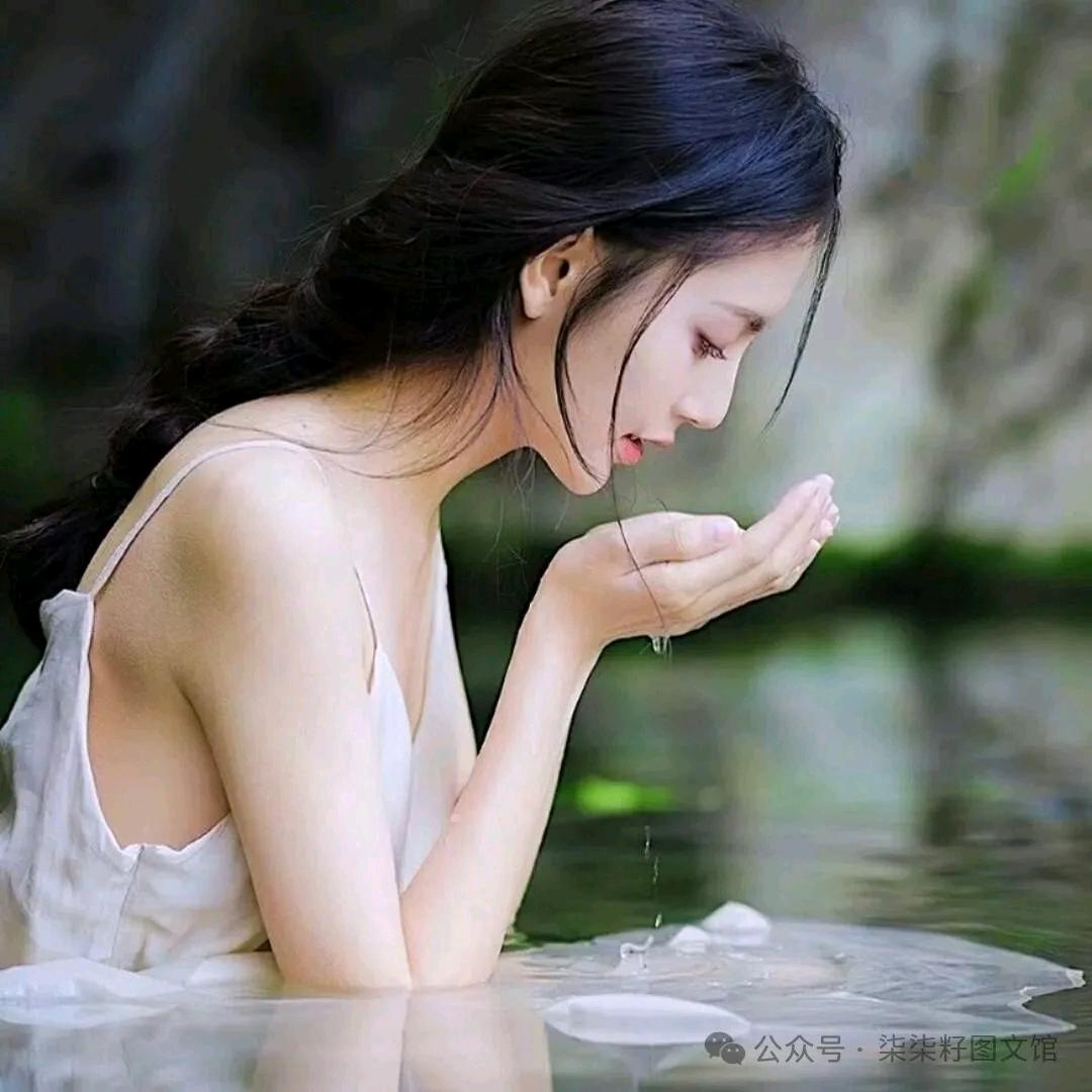 封心௸锁爱