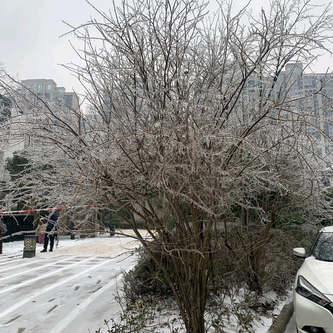 冰雪不遇你