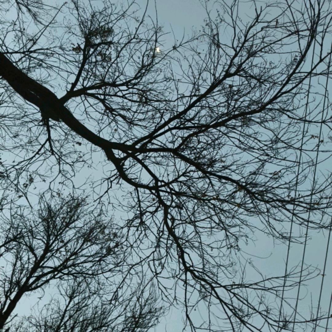 未央