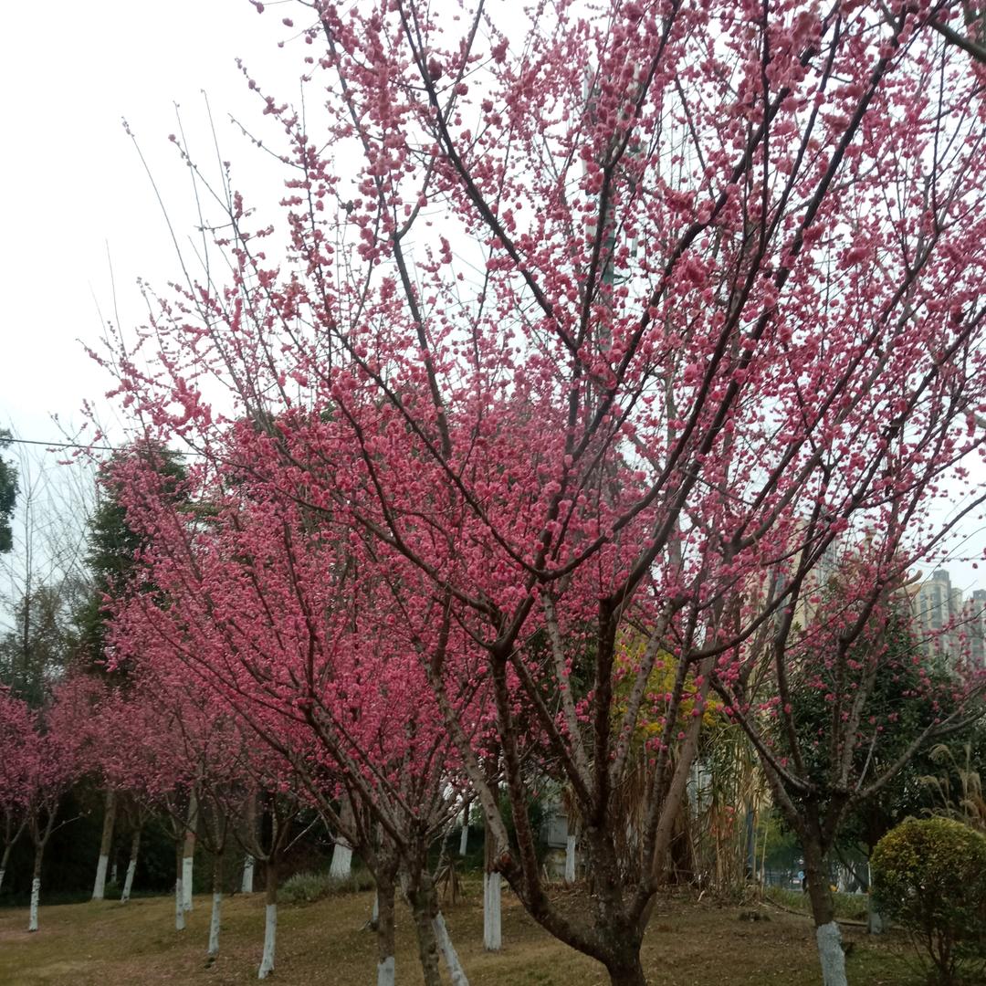 过好今天，奔向明天，忘记昨天