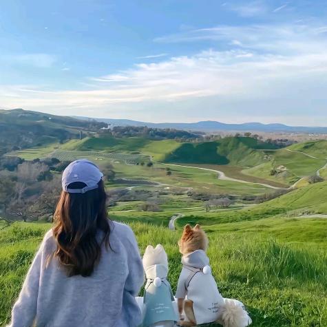 小小小小小小小🐡