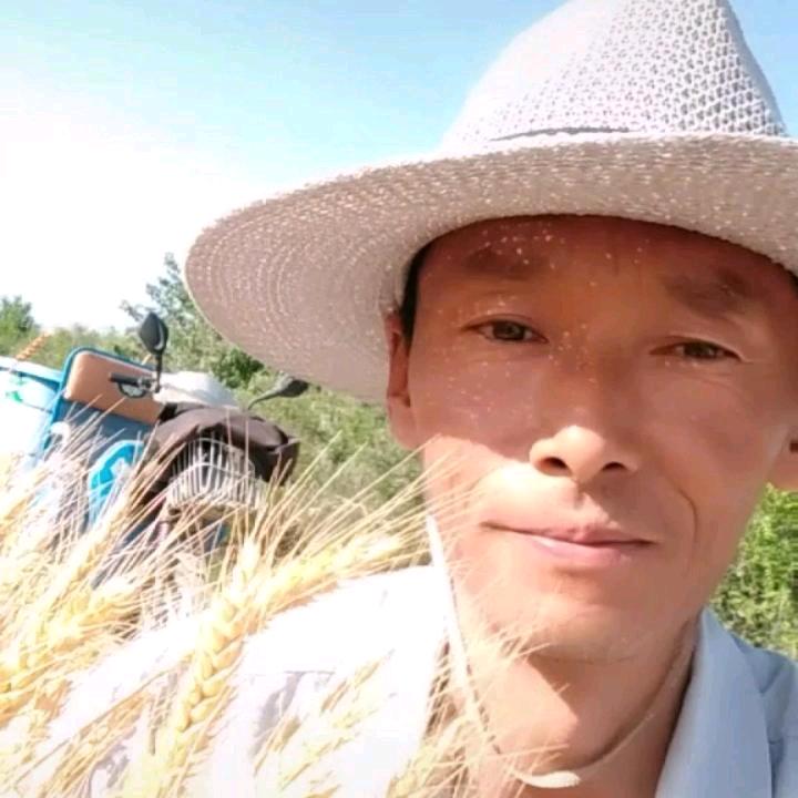 过江龙