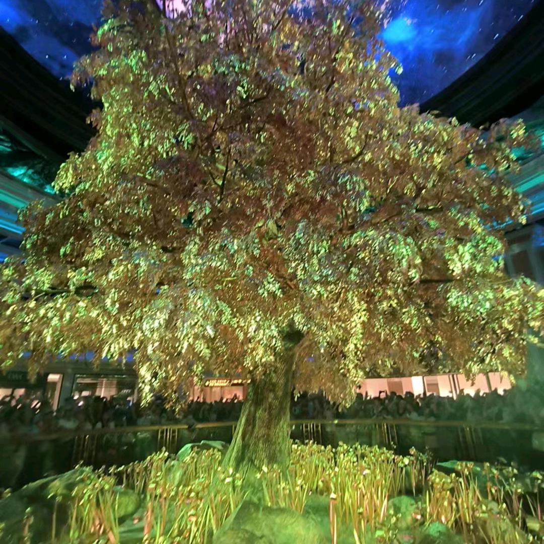 AA烨子-艺粹深圳