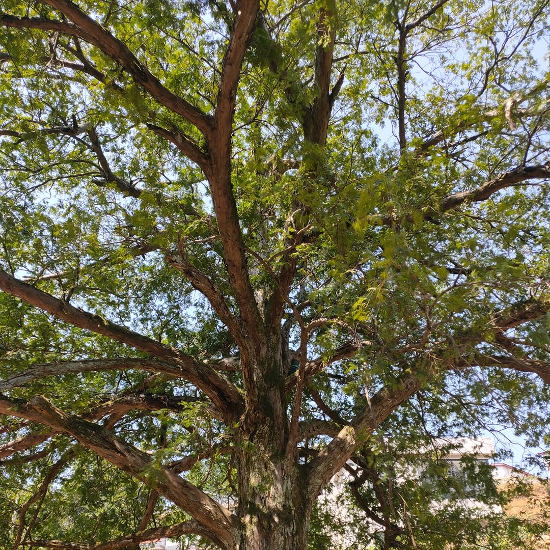 拥抱秋天