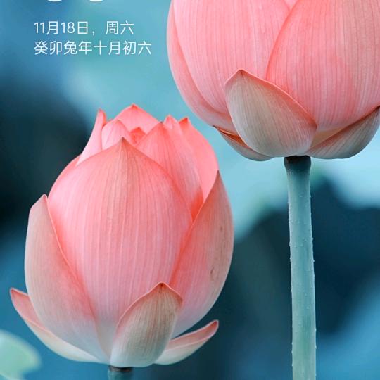 四姐
